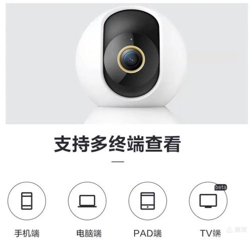 览城 商户推荐 博览城幼儿园 2021年秋季招生 预交活动 暑假班活动开始了