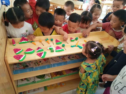 走进荷花幼儿园教育集团